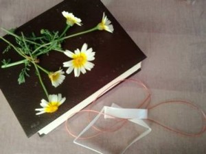 Hechizo de magia blanca con margaritas